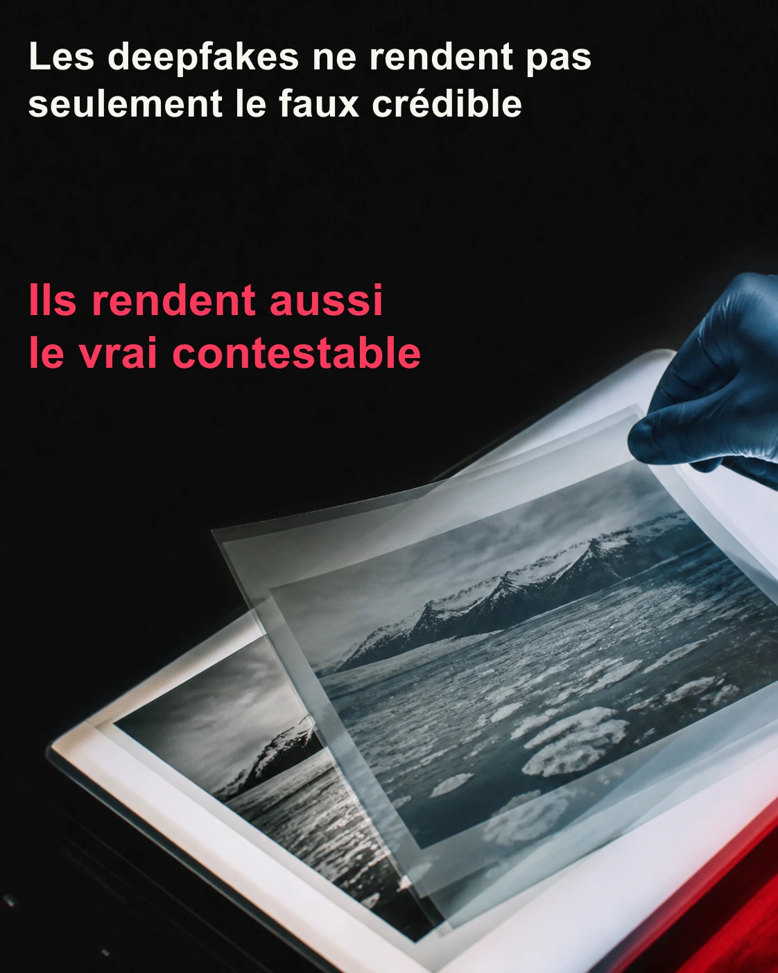Couverture du carrousel Le dividende du menteur.