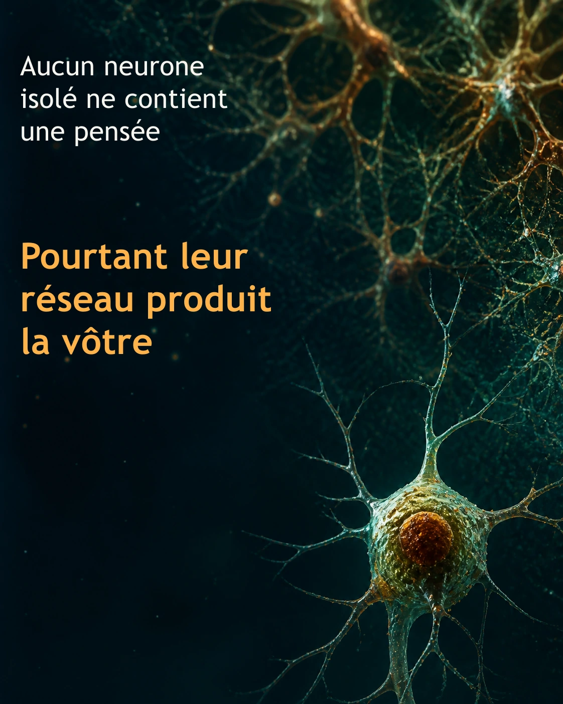 Couverture du carrousel L'intelligence émergente.